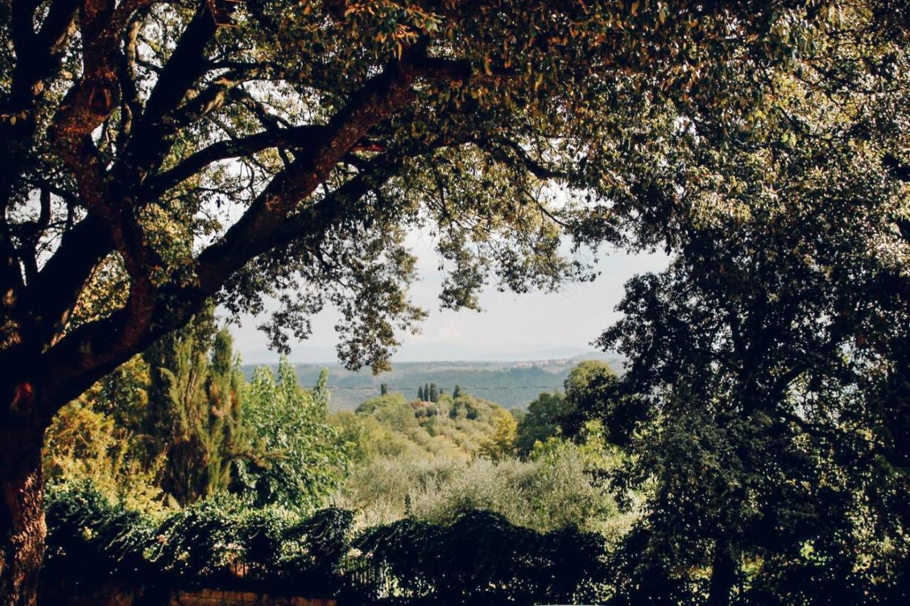Villa Moris Bed And Breakfast Tavarnelle Val di Pesa エクステリア 写真